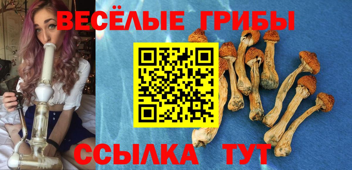 Сунжа  Галлюциногенные грибы Magic Shrooms  Вход с VPN  Псилоцибиновые грибы MAGIC MUSHROOMS 